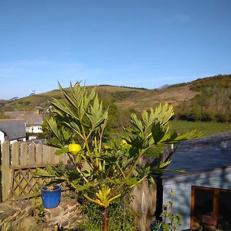 Fern Cottage Annexe Croyde Exterior foto