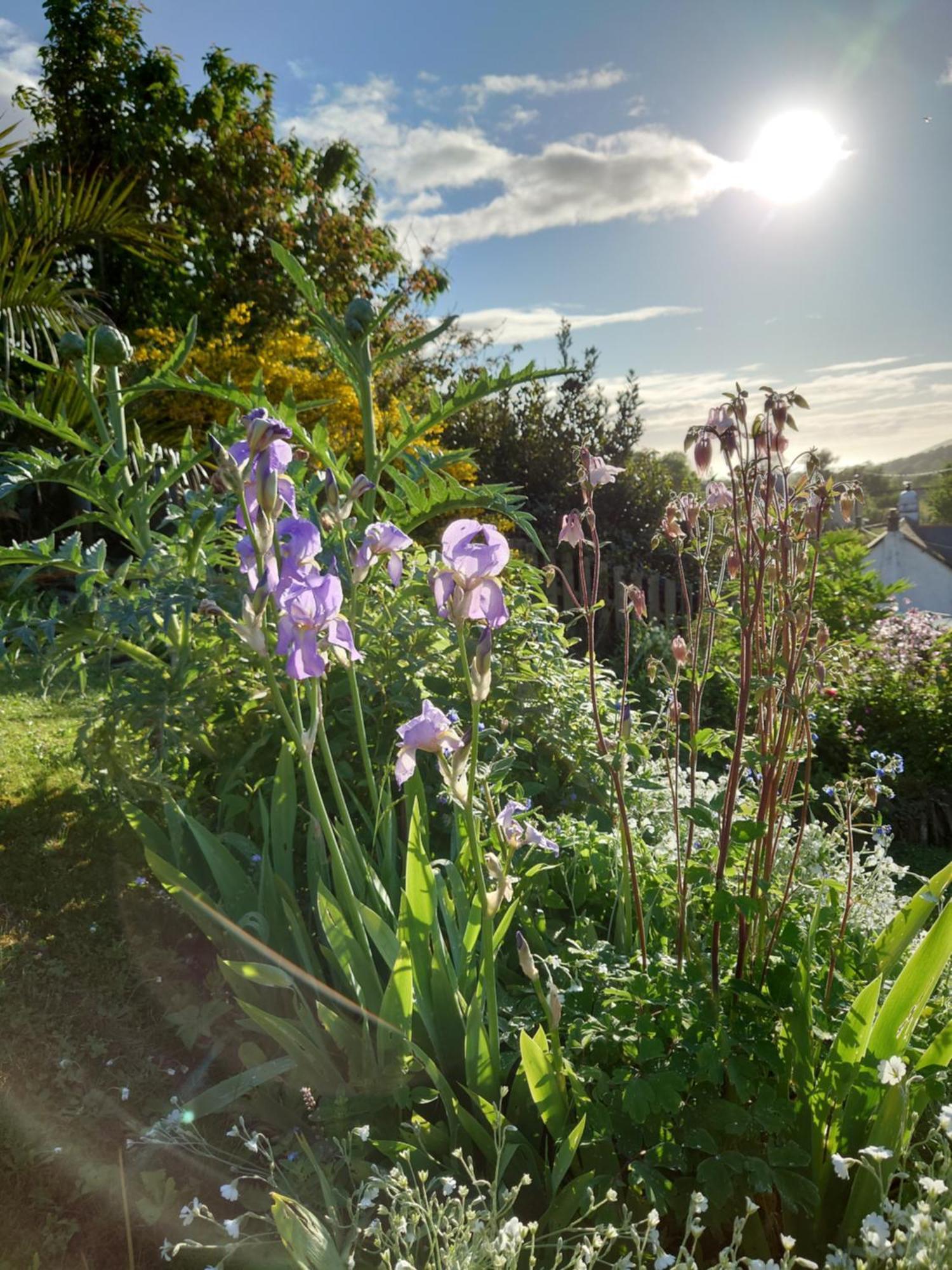 Fern Annexe * Croyde